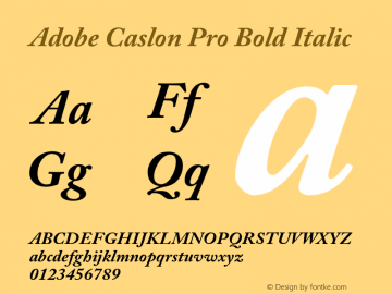 Adobe Caslon Pro Bold Italic Version 2.059;PS 2.000;hotconv 1.0.57;makeotf.lib2.0.21895 Font Sample