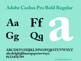 Adobe Caslon Pro Bold Regular Version 2.059;PS 2.000;hotconv 1.0.57;makeotf.lib2.0.21895图片样张