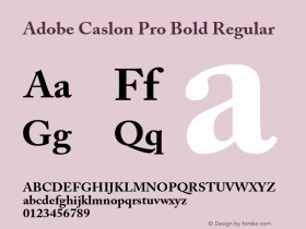 Adobe Caslon Pro Bold Regular Version 2.092;PS 2.000;hotconv 1.0.67;makeotf.lib2.5.33168图片样张