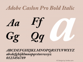 Adobe Caslon Pro Bold Italic Version 2.092;PS 2.000;hotconv 1.0.67;makeotf.lib2.5.33168图片样张