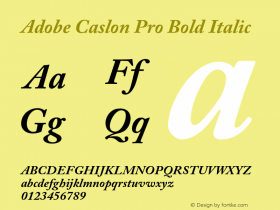 Adobe Caslon Pro Bold Italic Version 2.096;PS 2.000;hotconv 1.0.70;makeotf.lib2.5.58329图片样张