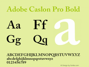 Adobe Caslon Pro Bold OTF 1.012;PS 001.000;Core 1.0.30;makeotf.lib1.4.1030图片样张