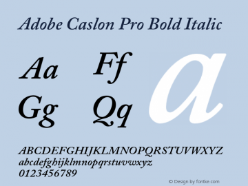 Adobe Caslon Pro Bold Italic Version 2.096;PS 2.000;hotconv 1.0.70;makeotf.lib2.5.58329 Font Sample