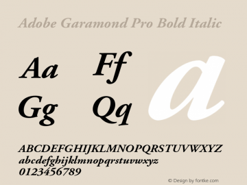 Adobe Garamond Pro Bold Italic Version 2.111;PS 2.000;hotconv 1.0.67;makeotf.lib2.5.33168图片样张