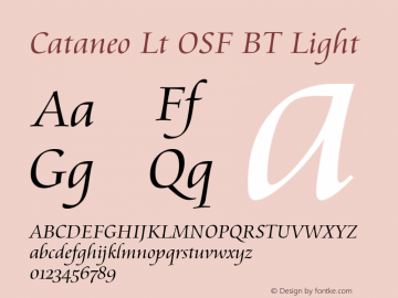 Cataneo Lt OSF BT Light Version 1.01 emb4-OT Font Sample