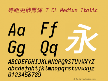 等距更纱黑体 T CL Medium Italic 图片样张