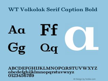 WT Volkolak Serif Caption Bold Version 2.000;PS 002.000;hotconv 1.0.88;makeotf.lib2.5.64775 Font Sample