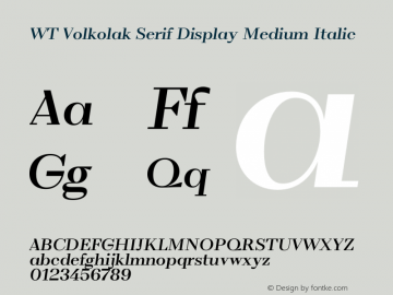 WT Volkolak Serif Display Medium Italic Version 3.000;PS 003.000;hotconv 1.0.88;makeotf.lib2.5.64775 Font Sample