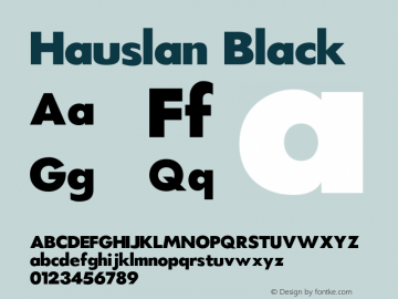 Hauslan-Black Version 1.000图片样张