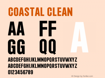Coastal Clean Version 1.080;hotconv 1.0.109;makeotfexe 2.5.65596图片样张