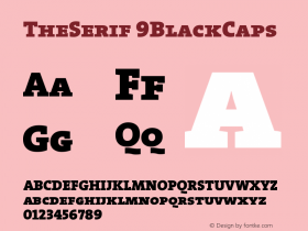 TheSerif 9BlackCaps Version 1.0图片样张