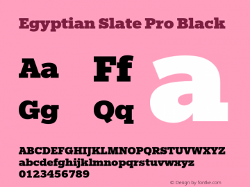 EgyptianSlatePro-Black Version 1.00图片样张