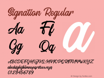 Signation 1.000 Font Sample