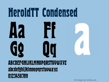 HeroldTT Condensed Version 1.0; 1999; initial release图片样张