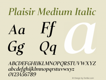 PlaisirMediumItalic Version 1.000; ttfautohint (v1.6)图片样张