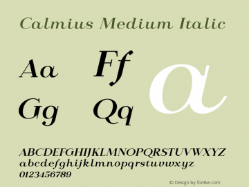 Calmius-MediumItalic Version 1.000图片样张