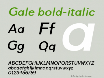 Gale bold-italic 0.1.0图片样张