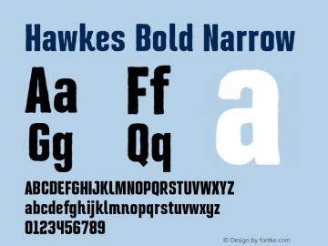 Hawkes Bold Narrow Version 1.000;hotconv 1.0.109;makeotfexe 2.5.65596图片样张