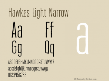Hawkes Light Narrow Version 1.000;hotconv 1.0.109;makeotfexe 2.5.65596图片样张