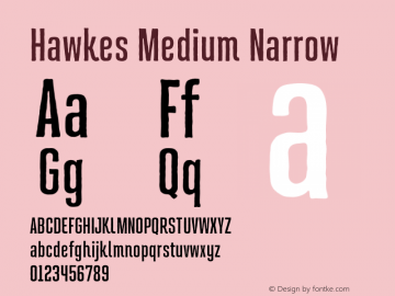 Hawkes Medium Narrow Version 1.000;hotconv 1.0.109;makeotfexe 2.5.65596图片样张