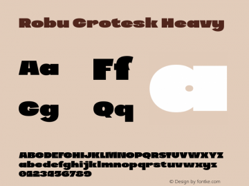 Robu Grotesk Heavy Version 1.000;PS 001.000;hotconv 1.0.88;makeotf.lib2.5.64775图片样张