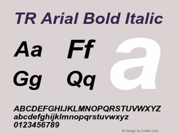 TR Arial Bold Italic Version 2.50图片样张