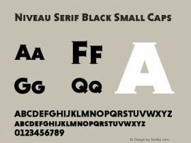 NiveauSerifBlack-SmallCaps Version 1.000 Font Sample