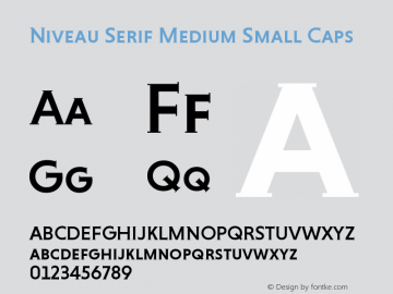 NiveauSerifMedium-SmallCaps Version 1.000 Font Sample