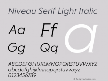 NiveauSerifLight-Italic Version 1.000图片样张