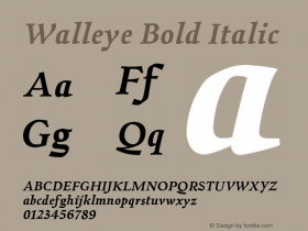 Walleye-BoldItalic Version 1.000图片样张