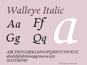 Walleye-Italic Version 1.000图片样张