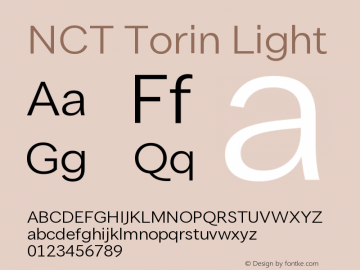 NCT Torin Light Version 1.000;PS 001.000;hotconv 1.0.88;makeotf.lib2.5.64775图片样张