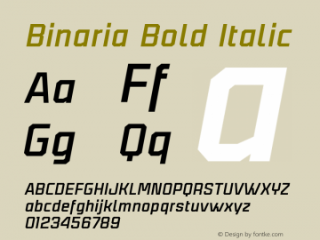 Binaria Bold Italic Version 001.001 ;YWFTv17图片样张