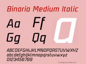 Binaria Medium Italic Version 001.001 ;YWFTv17图片样张