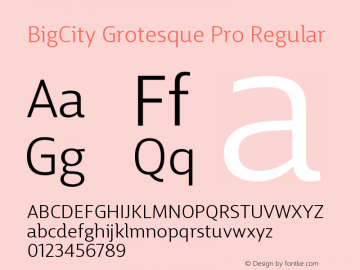 BigCityGrotesquePro-Regular Version 1.000 Font Sample