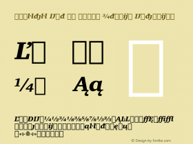 Charter Ext BT Black Italic Extension Version 1.01 emb4-OT图片样张