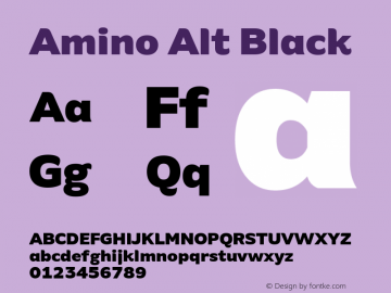 Amino Alt Black Version 2.01 : 2013;com.myfonts.cadson-demak.amino.alt-black.wfkit2.41JN Font Sample