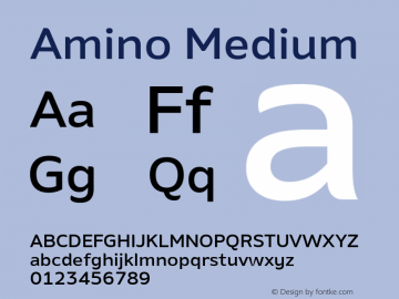 Amino Medium Version 2.01 : 2013;com.myfonts.cadson-demak.amino.medium.wfkit2.41K3图片样张