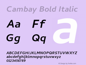 Cambay Bold Italic Version 1.006;PS 001.006;hotconv 1.0.70;makeotf.lib2.5.58329图片样张