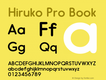 HirukoPro-Book Version 1.001图片样张