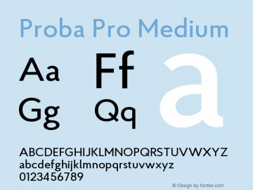 ProbaPro-Medium Version 001.000;com.myfonts.konstantynov.proba-pro.medium.wfkit2.4car图片样张