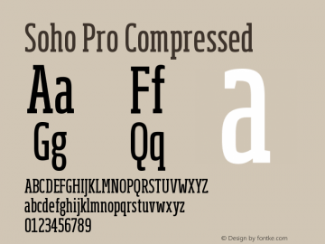 SohoPro-Compressed Version 1.000图片样张