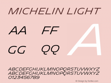 Michelin Light Regular Version 1.005;PS 1.5;hotconv 1.0.72;makeotf.lib2.5.5900 Font Sample