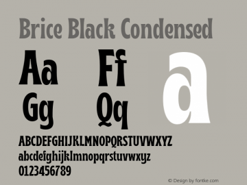 Brice-BlackCondensed Version 1.000;hotconv 1.0.109;makeotfexe 2.5.65596图片样张