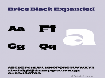Brice-BlackExpanded Version 1.000;hotconv 1.0.109;makeotfexe 2.5.65596图片样张