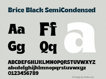 Brice-BlackSemiCondensed Version 1.000;hotconv 1.0.109;makeotfexe 2.5.65596图片样张