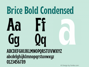 Brice-BoldCondensed Version 1.000;hotconv 1.0.109;makeotfexe 2.5.65596图片样张