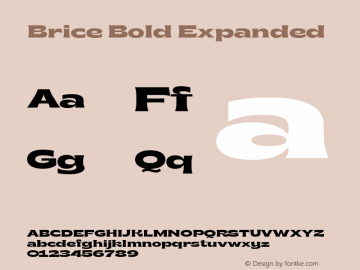 Brice-BoldExpanded Version 1.000;hotconv 1.0.109;makeotfexe 2.5.65596 Font Sample
