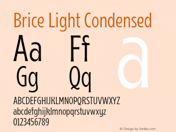 Brice-LightCondensed Version 1.000;hotconv 1.0.109;makeotfexe 2.5.65596图片样张