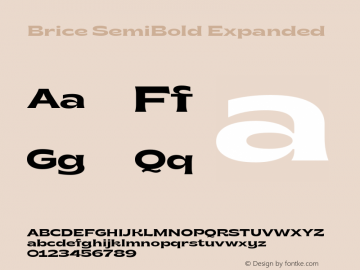 Brice-SemiBoldExpanded Version 1.000;hotconv 1.0.109;makeotfexe 2.5.65596图片样张